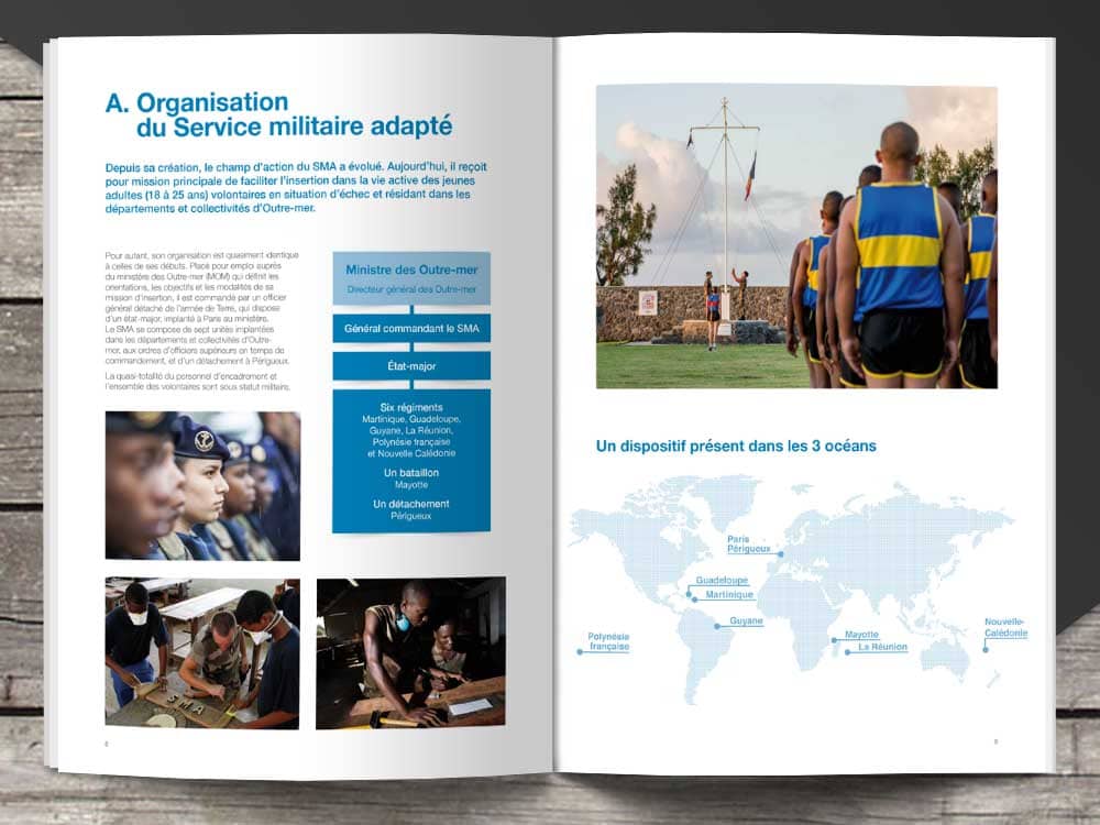 Rapport annuel pour le SMA, Organisation